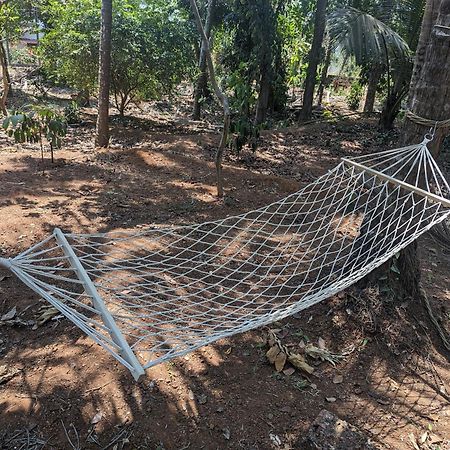 Hill Top Homes Kannur Bagian luar foto