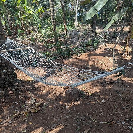 Hill Top Homes Kannur Bagian luar foto