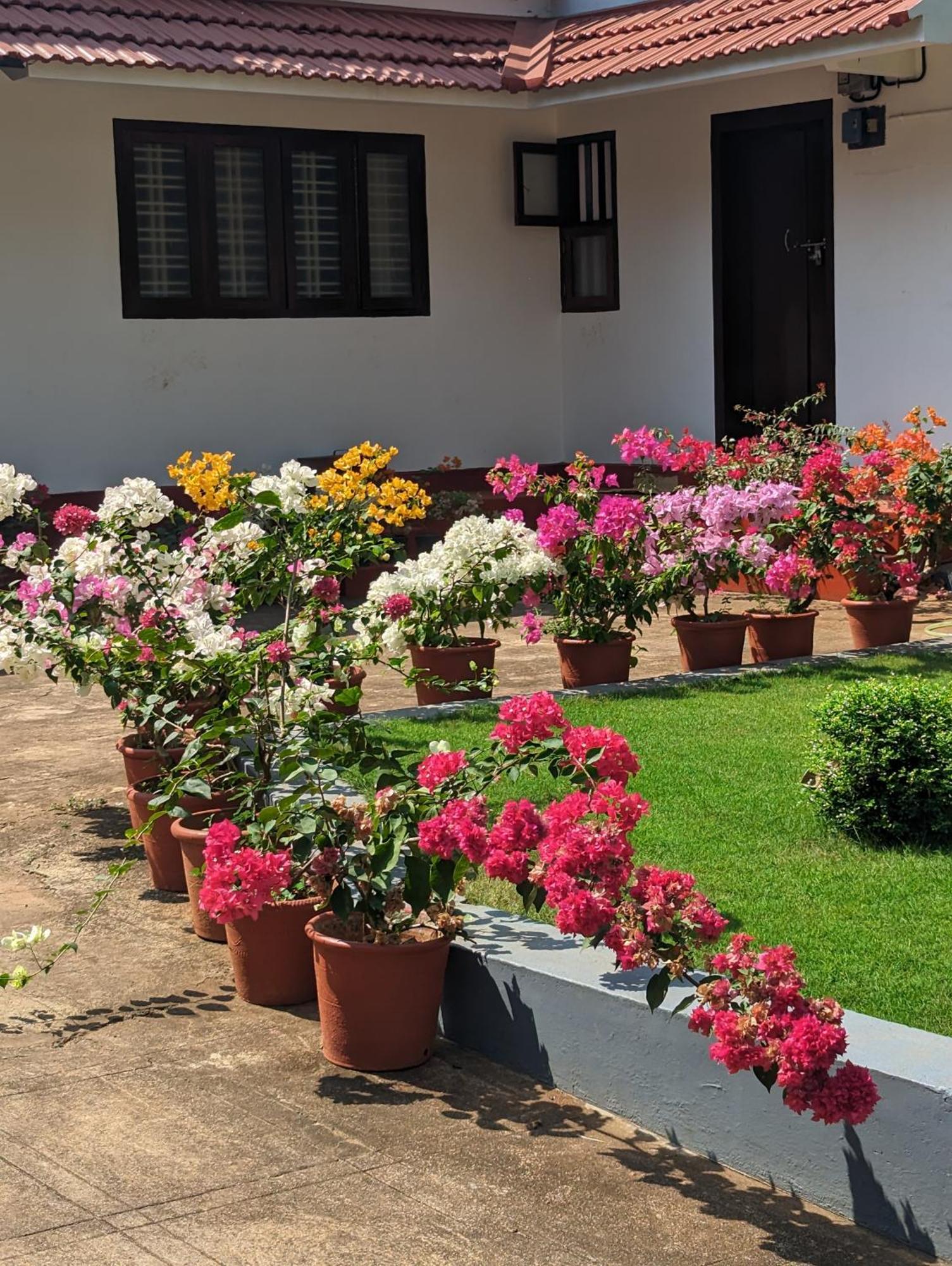 Hill Top Homes Kannur Bagian luar foto