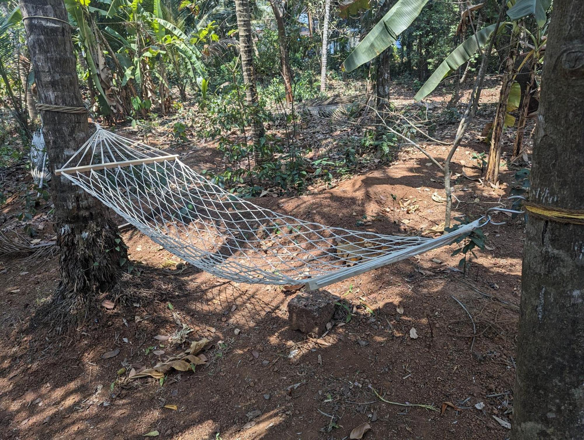 Hill Top Homes Kannur Bagian luar foto